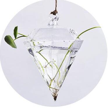 Hanging Glass Hydroponic Vase for Succulents and Decor