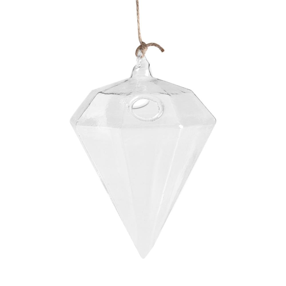 Hanging Glass Hydroponic Vase for Succulents and Decor